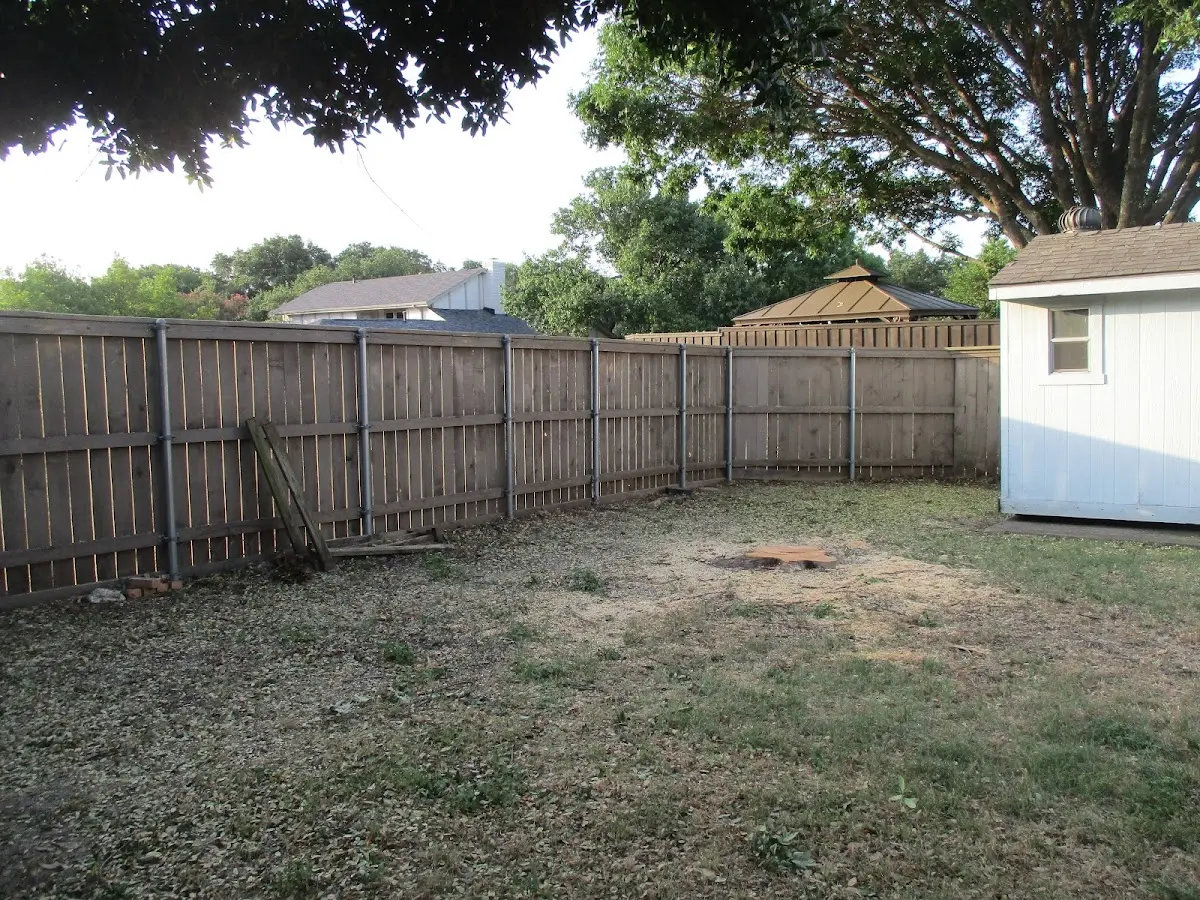 Cleared yard after professional tree removal in Cohasset